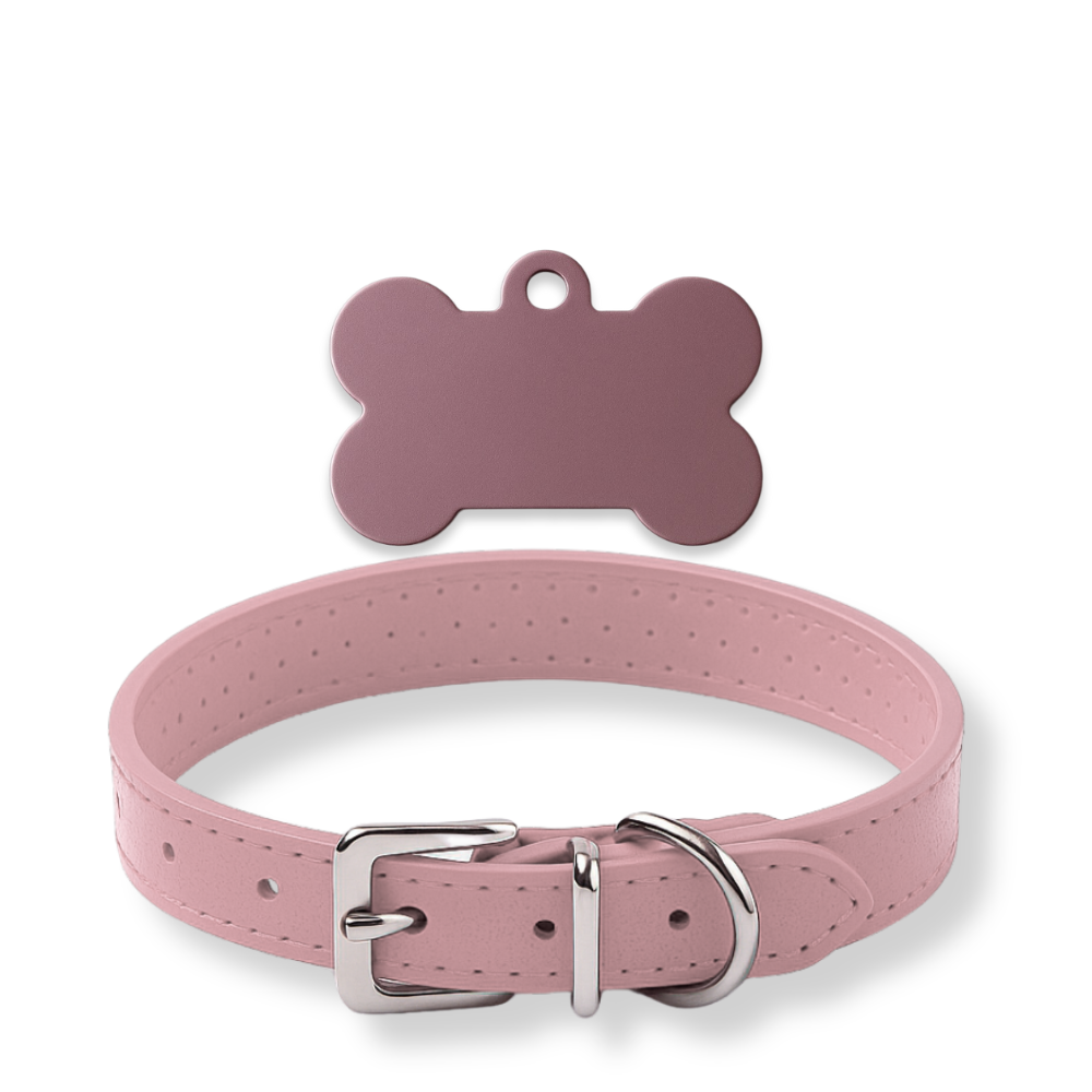 Pack Petit Animal – Médaillon personnalisé + Collier OFFERT 🎁