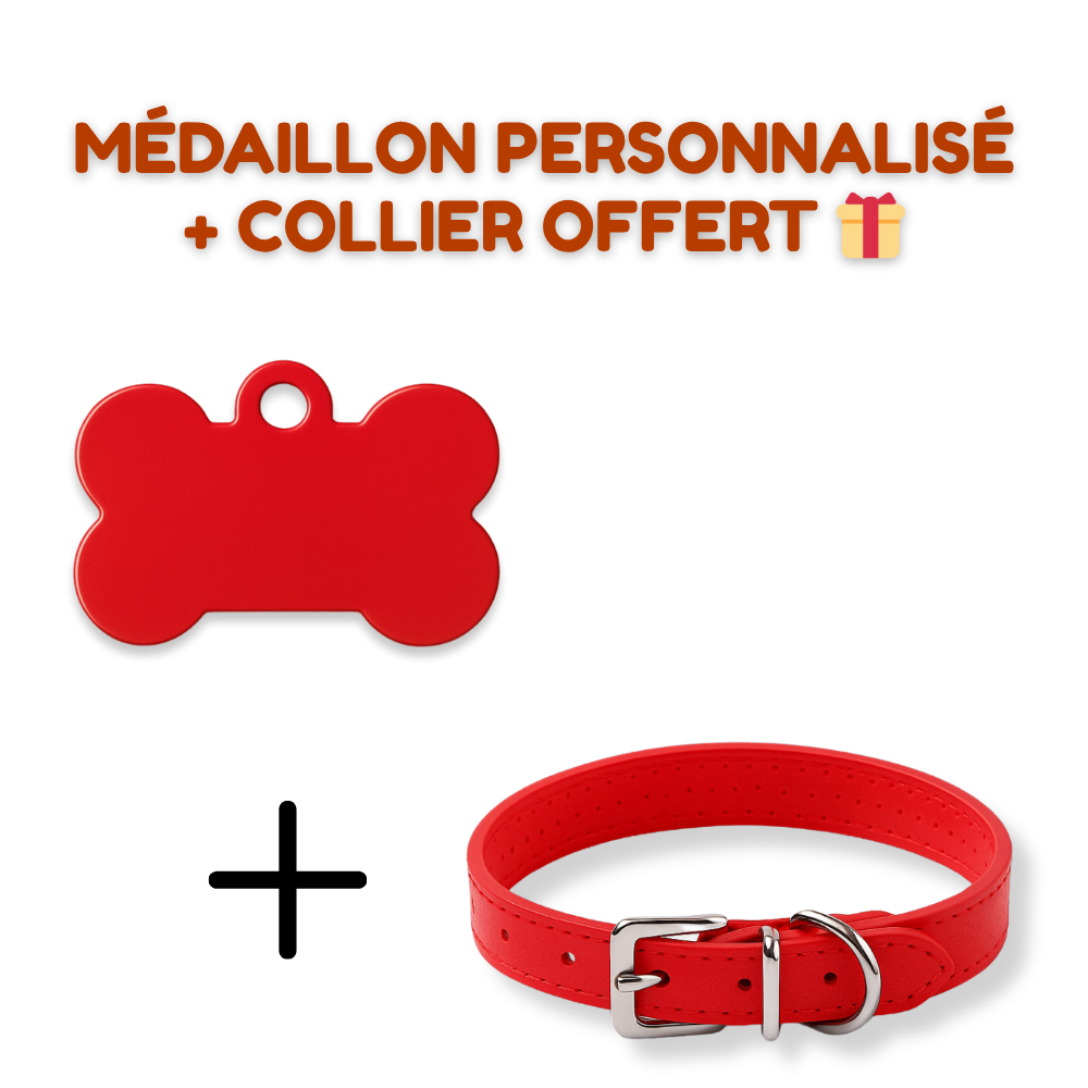 Pack Petit Animal – Médaillon personnalisé + Collier OFFERT 🎁