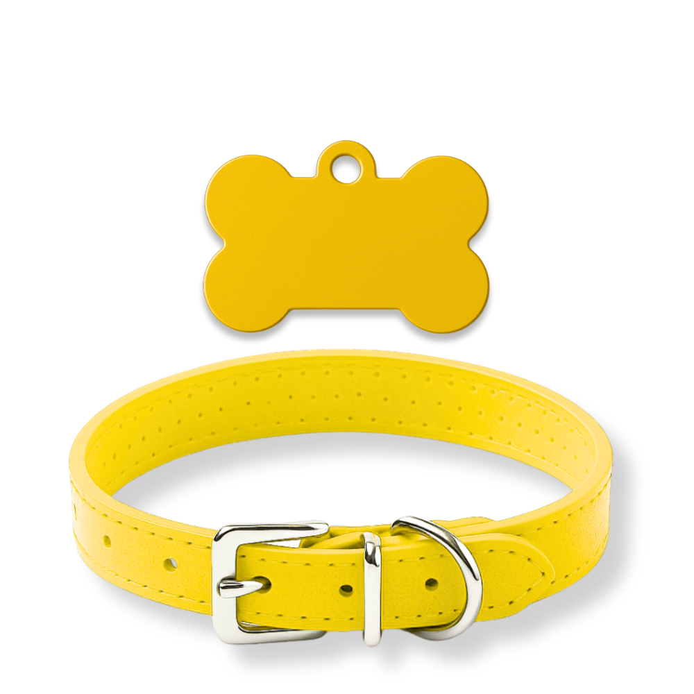 Pack Petit Animal – Médaillon personnalisé + Collier OFFERT 🎁