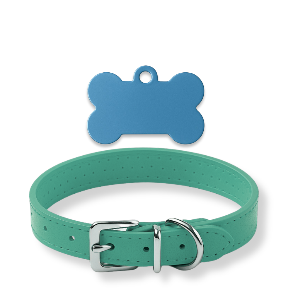 Pack Petit Animal – Médaillon personnalisé + Collier OFFERT 🎁