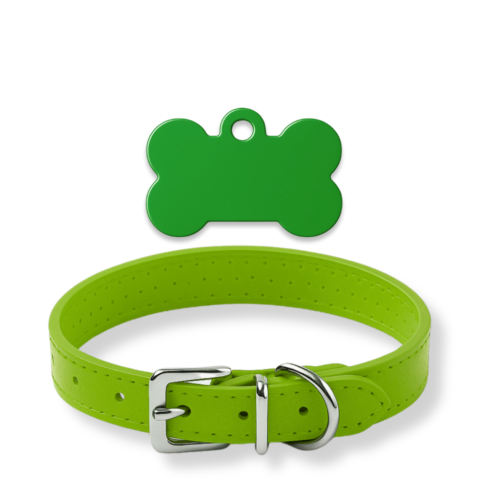 Pack Petit Animal – Médaillon personnalisé + Collier OFFERT 🎁