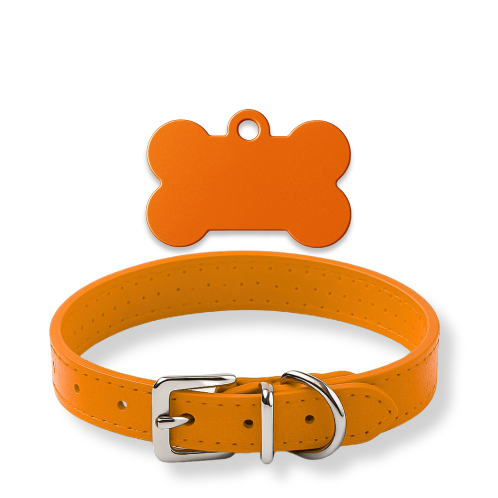 Pack Petit Animal – Médaillon personnalisé + Collier OFFERT 🎁