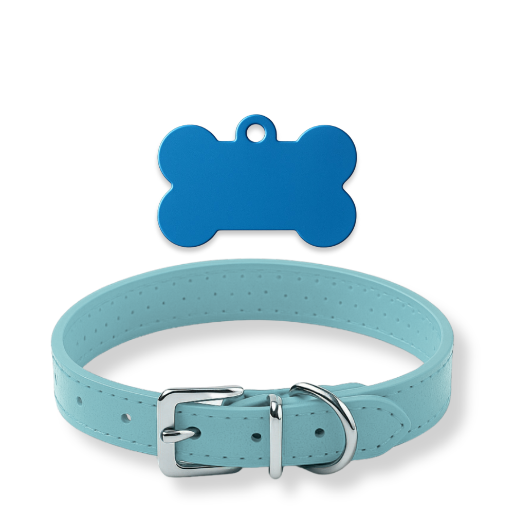 Pack Petit Animal – Médaillon personnalisé + Collier OFFERT 🎁