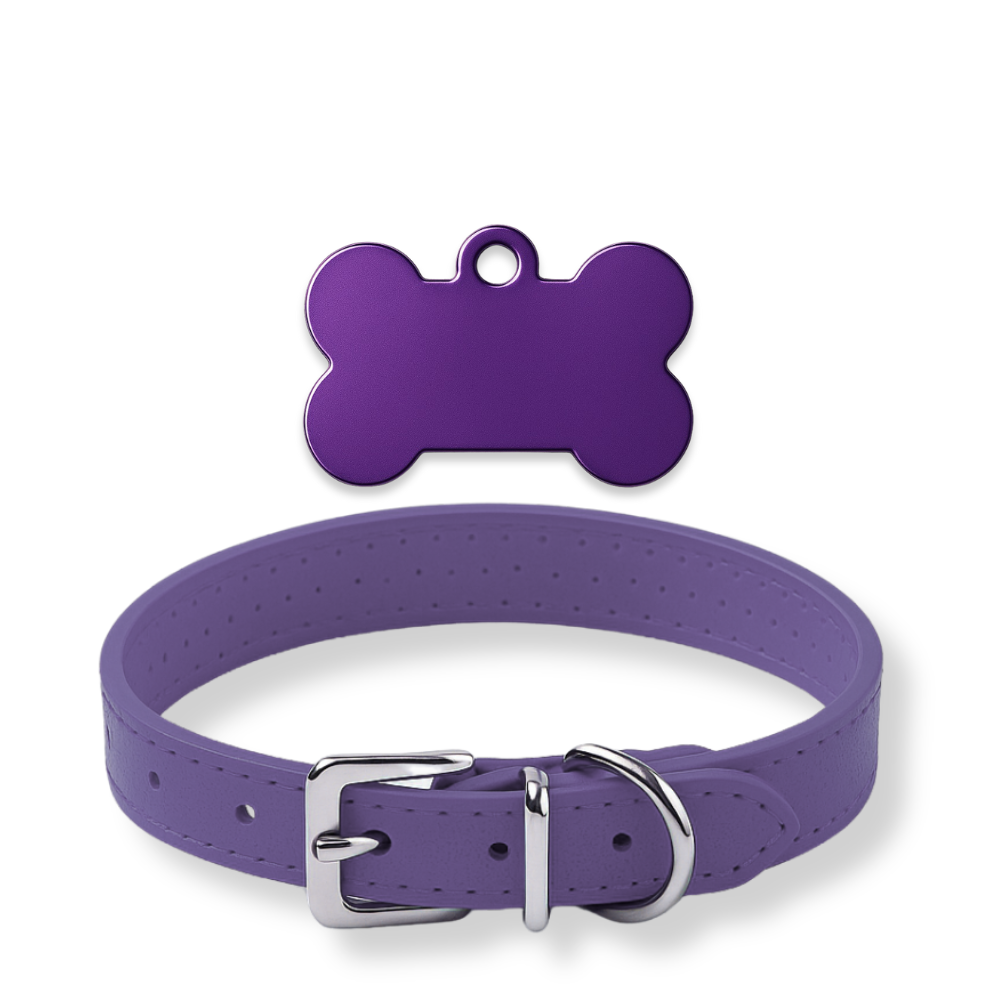 Pack Petit Animal – Médaillon personnalisé + Collier OFFERT 🎁