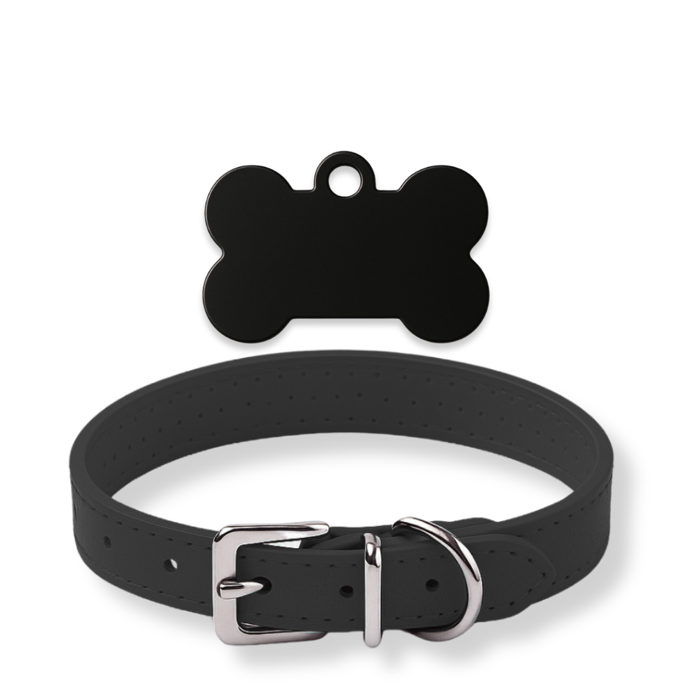 Pack Petit Animal – Médaillon personnalisé + Collier OFFERT 🎁