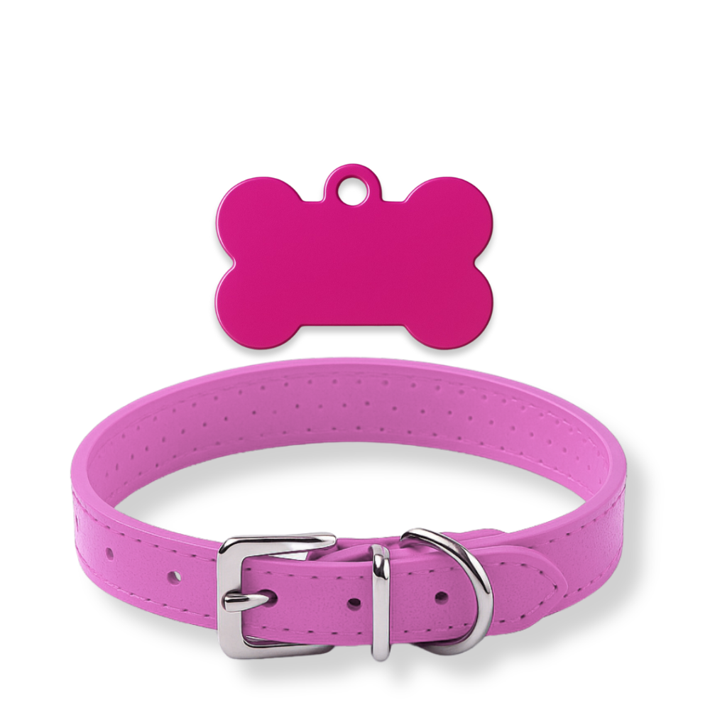 Pack Petit Animal – Médaillon personnalisé + Collier OFFERT 🎁