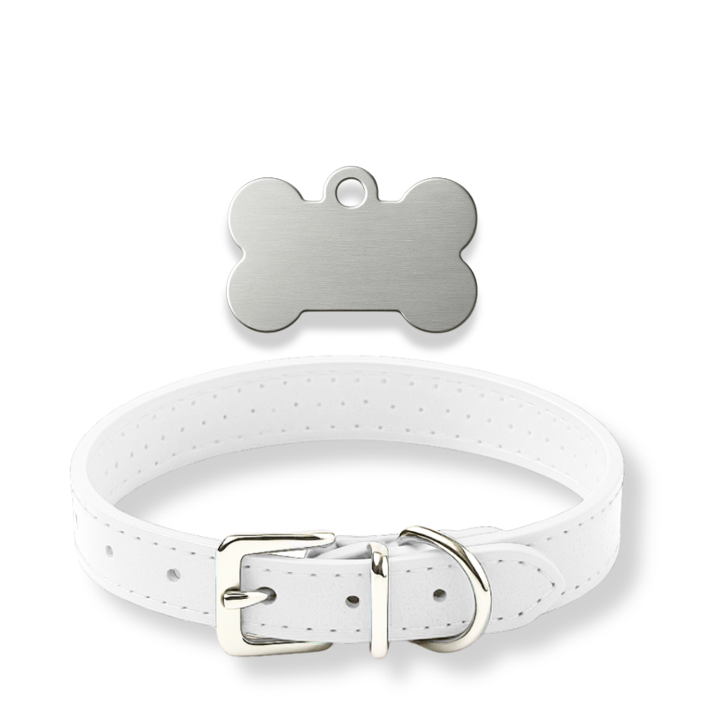 Pack Petit Animal – Médaillon personnalisé + Collier OFFERT 🎁