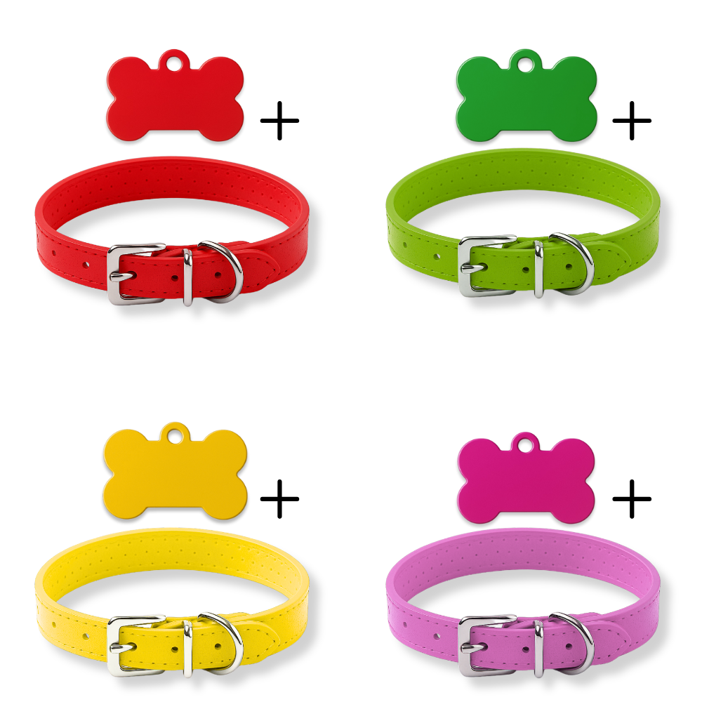 Pack Petit Animal – Médaillon personnalisé + Collier OFFERT 🎁